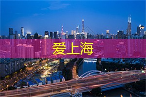 爱上海：夜景带字的图片大全