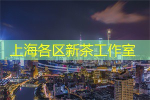不一样的上海：从多元视角看都市