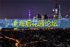 快闪店及其夜晚活动的蓬勃发展